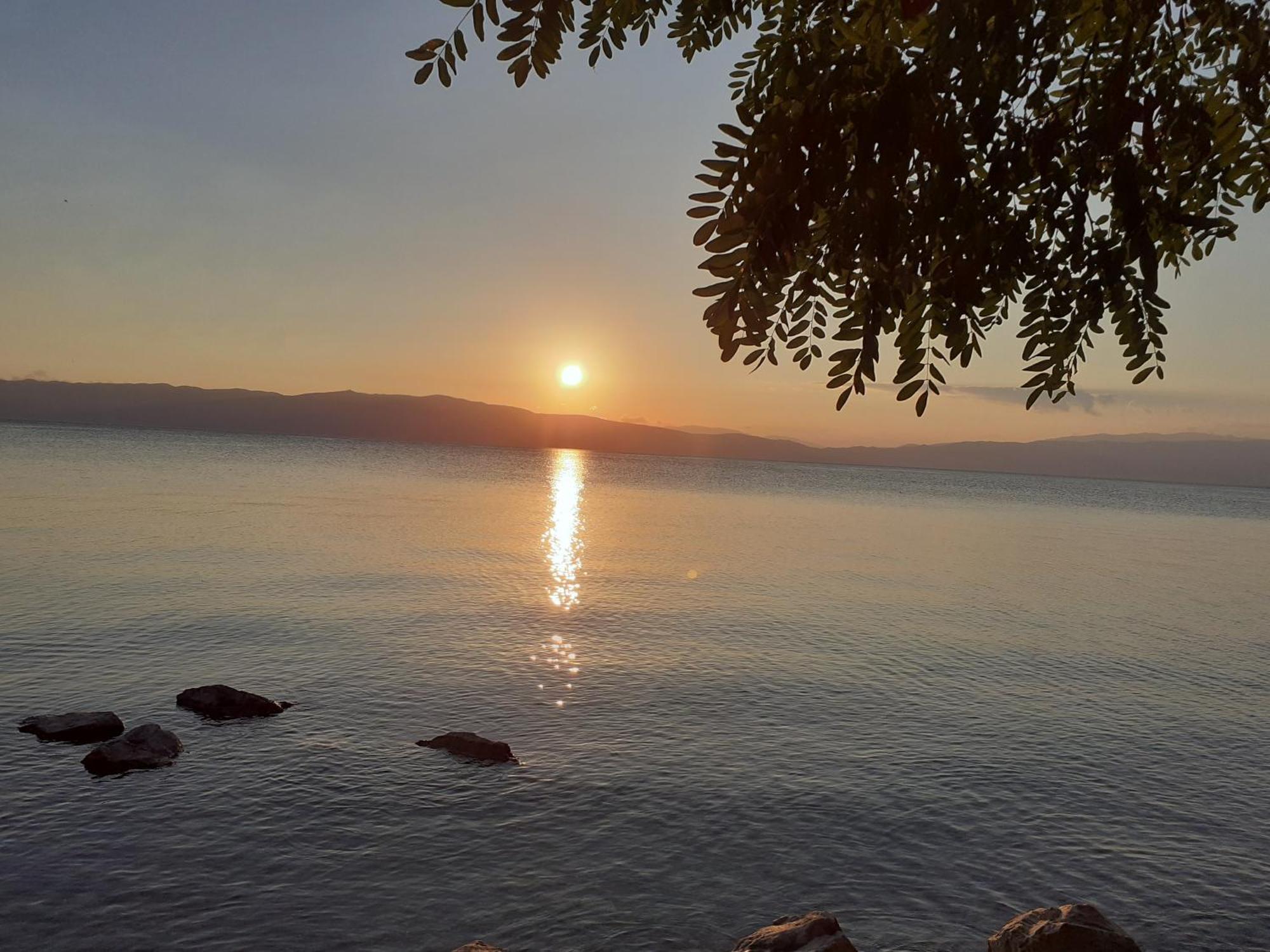Guesthouse Zimovski Peštani Exteriör bild