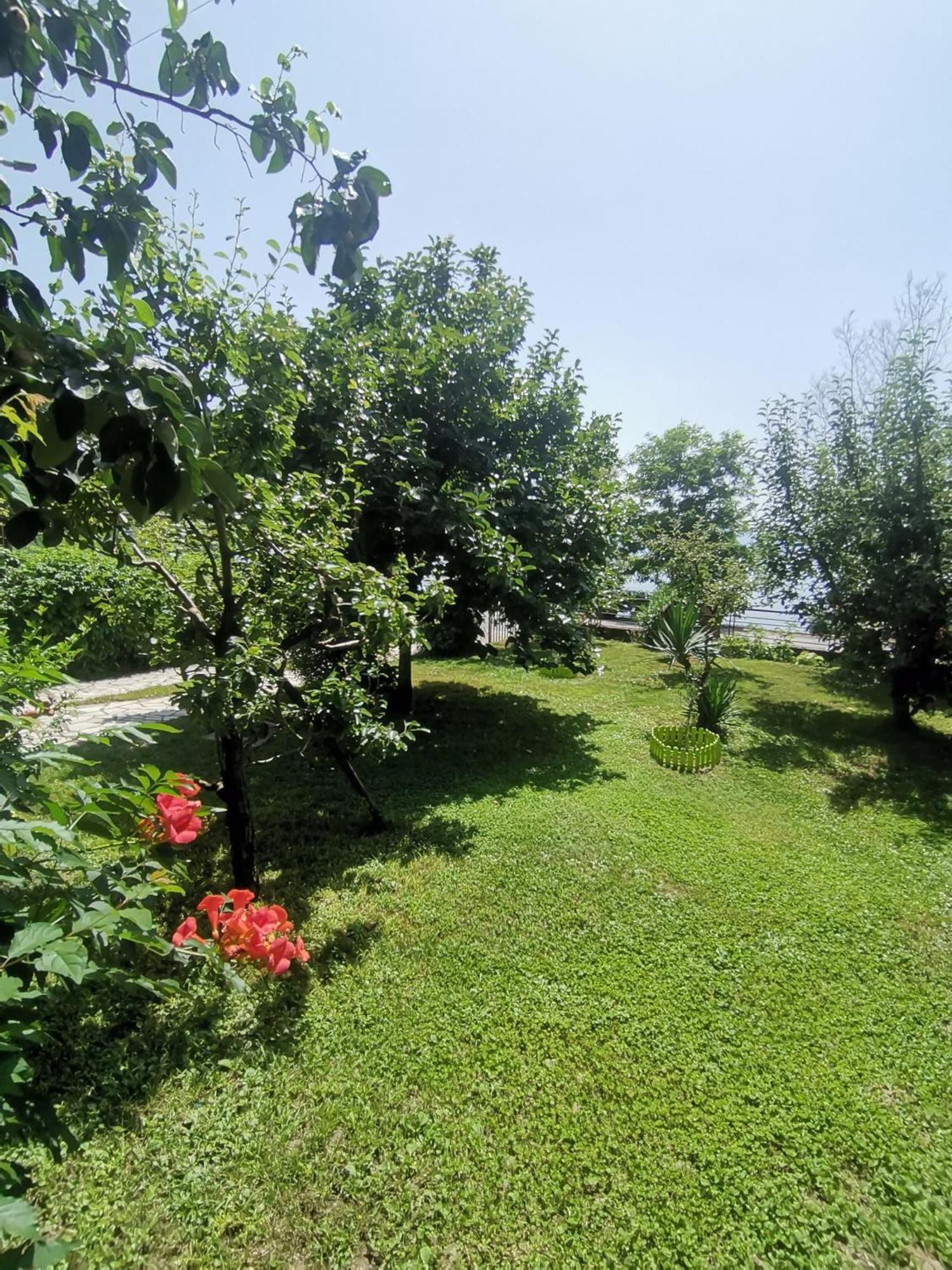 Guesthouse Zimovski Peštani Exteriör bild