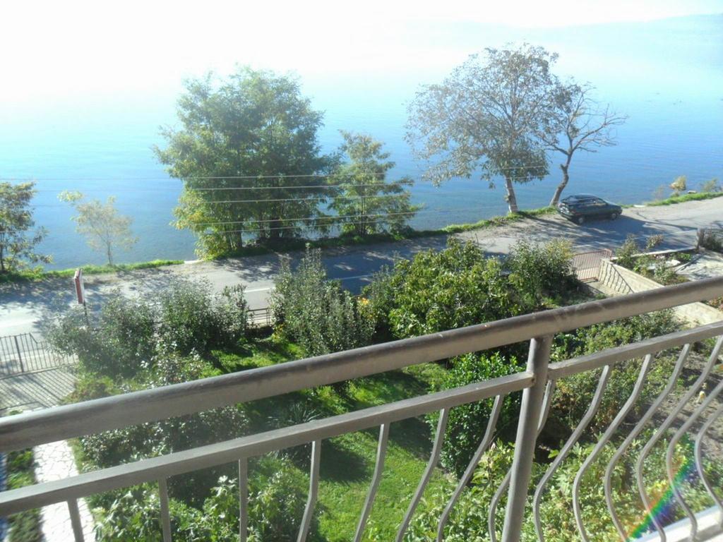 Guesthouse Zimovski Peštani Exteriör bild