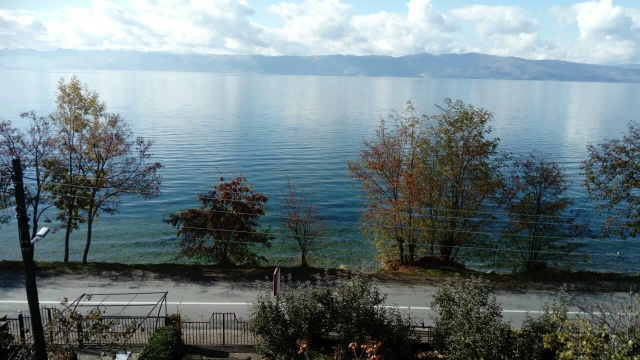 Guesthouse Zimovski Peštani Exteriör bild