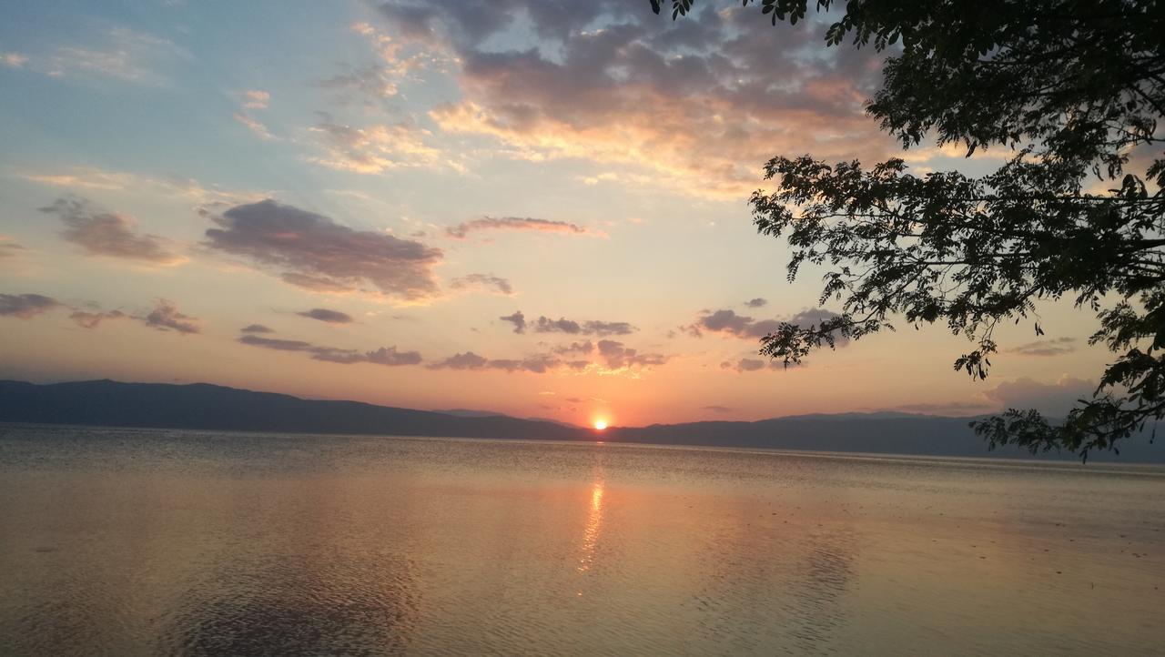 Guesthouse Zimovski Peštani Exteriör bild