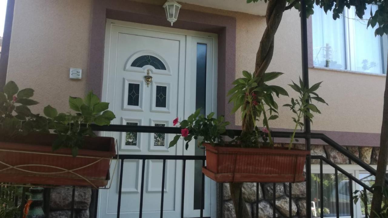 Guesthouse Zimovski Peštani Exteriör bild