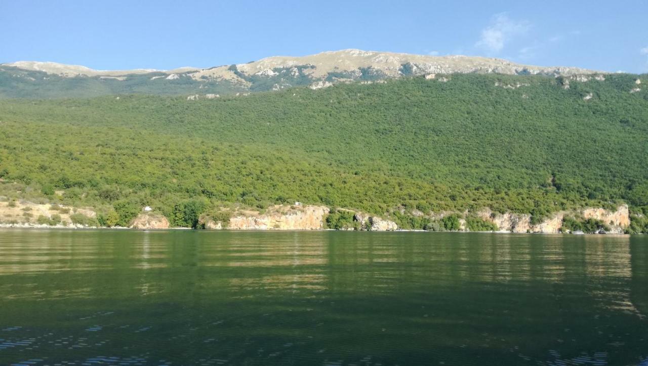 Guesthouse Zimovski Peštani Exteriör bild